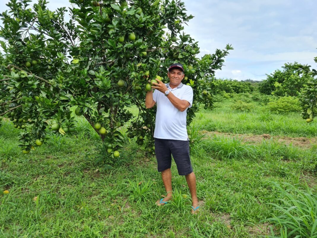 Idam_Dia do citricultor_Alcimar Duarte produtor_Foto Rita Ferreira Idam