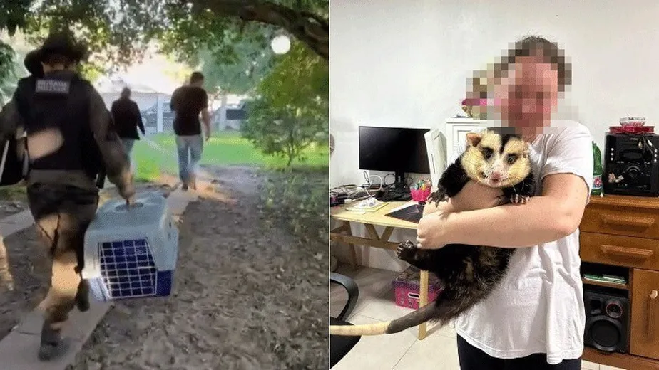 whatsapp-image-2023-06-09-at-13.18.18