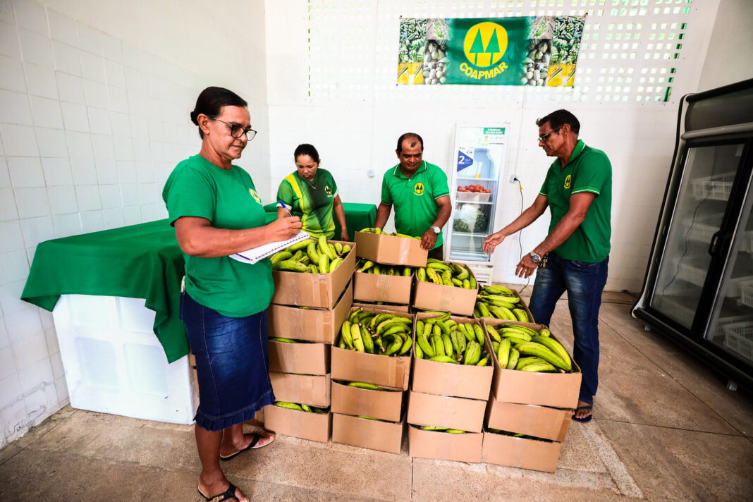 ADS_Aquisição Programa de Reginalização da Merenda Escolar_ Arthur Castro_SECOM (2)