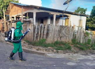 Dengue: Informe epidemiológico divulga cenário da doença no Amazonas nesta quinta-feira