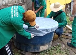 Dengue: Informe epidemiológico divulga cenário da doença no Amazonas nesta quinta-feira