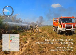 Em duas semanas, Operação Aceiro 2023 combate 42 focos de incêndios no sul do Amazonas