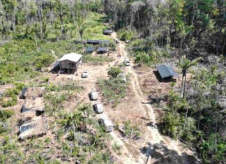 Forças de Segurança apuram denúncias de queimadas e desmatamento ilegal em Humaitá