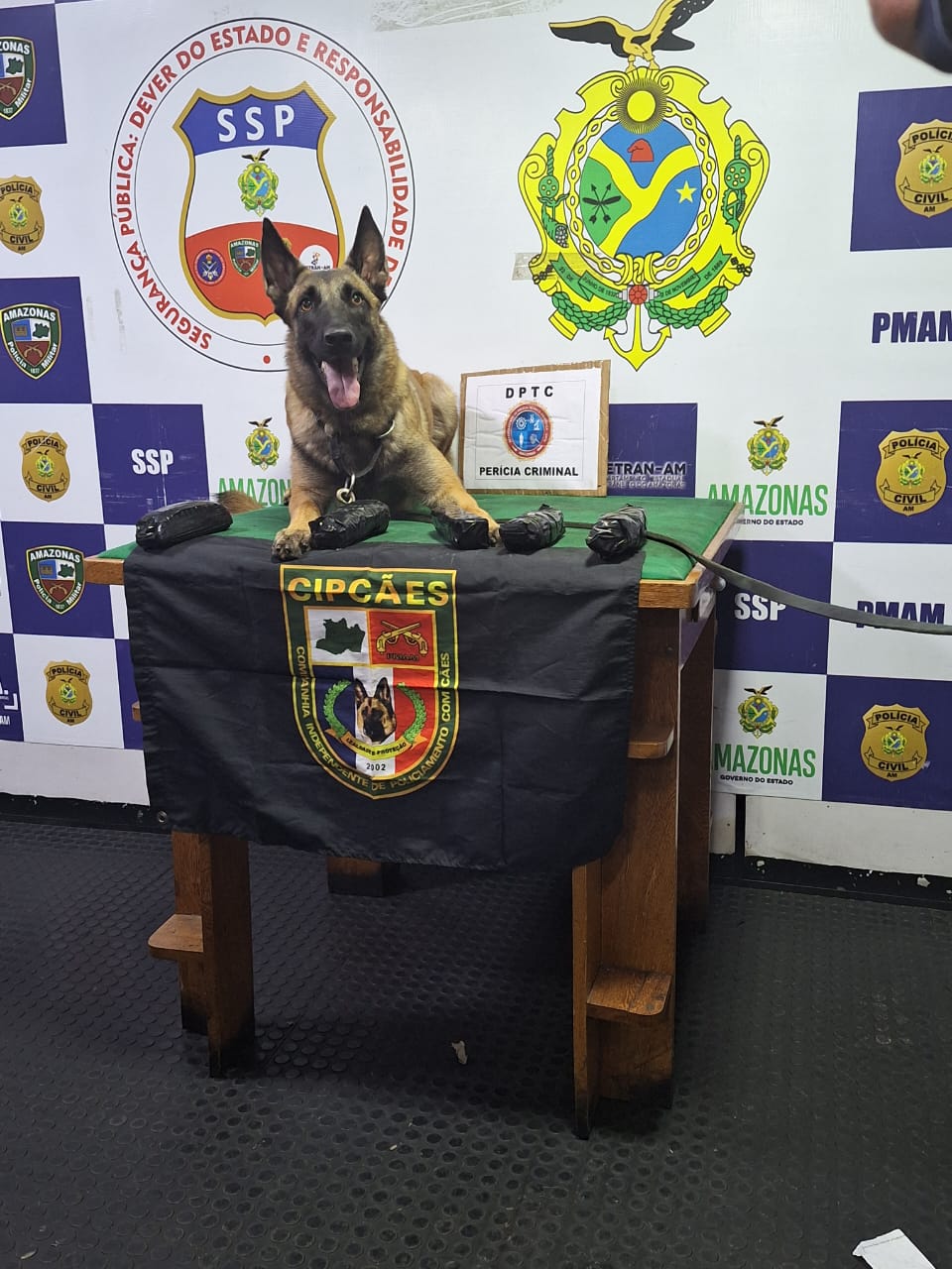 SSP_AM_MATERIAL_APREENDIDO_Arpão_Foto_ Divulgação_SSP_AM__