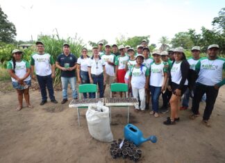 Em Parintins, produtores rurais buscam fortalecer o desenvolvimento da produção de hortaliças na Vila Amazônia
