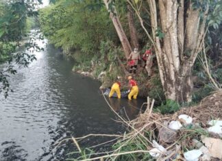 Corpo em estado de decomposição é encontrado boiando em Igarapé no Alvorada