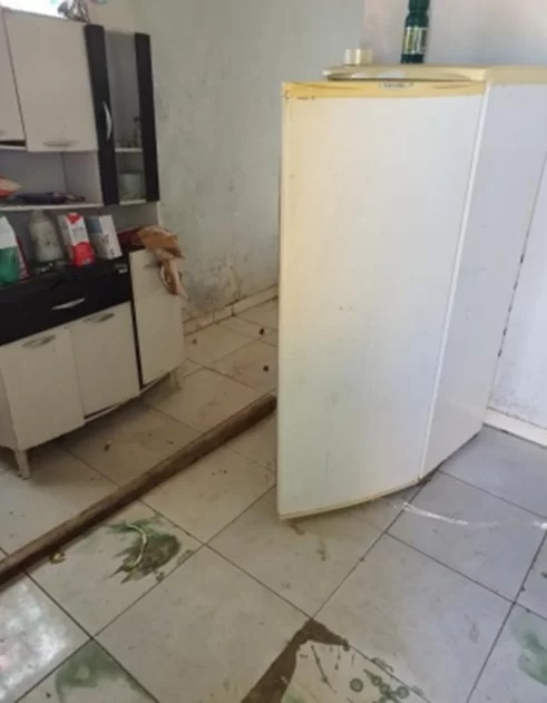 corpo-geladeira-1