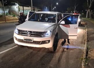 Mulher salva cachorro e morre atropelada