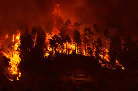 Avião se choca contra o solo enquanto combatia incêndios na Grécia; VÍDEO