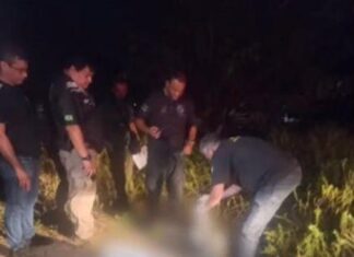 Pedaços de um corpo em decomposição são encontrados em área de mata no Japiim
