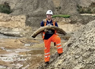 Caçador de fósseis avista presa de mamute de 450.000 anos em pedreira