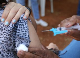Há diversidade de subvariantes da Ômicron desde fevereiro