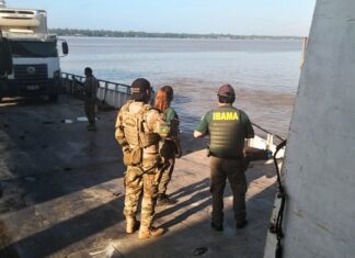 Policia Federal e IBAMA combatem desmatamento ilegal na Amazônia