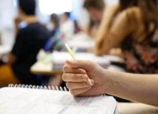 Concurso IBGE: MGI prevê nomeações a partir de dezembro de 2023