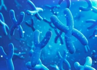 Cientistas encontram mais quatro genes relacionados ao câncer de mama