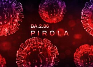 Pirola: nova variante do coronavírus é detectada em mais dois países