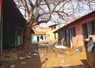 Homens são presos por matar e ocultar cadáver em cama de concreto