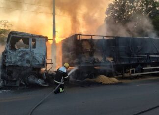 Na BR-174, Corpo de Bombeiros combate incêndio em carreta que transportava soja