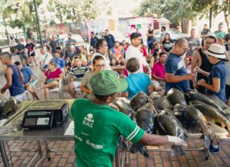 Feira do Tambaqui gera renda de mais de R$ 125 mil a manejadores da RDS Mamirauá