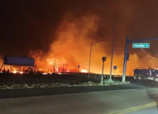 Pelo menos 36 mortos em incêndios florestais havaianos intensificados pelo furacão Dora, veja o vídeo