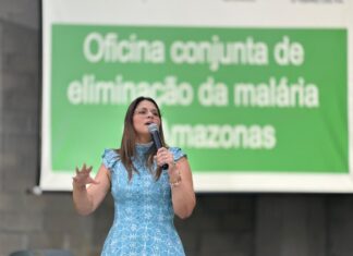 Eliminação da malária: segunda oficina encerra com fortalecimentos de planos de ação municipais contra a doença