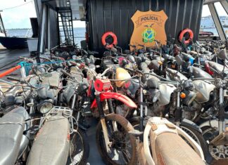 Polícias Civil do Amazonas e Pará deflagram Operação e recuperam 83 veículos oriundos de roubos e furtos