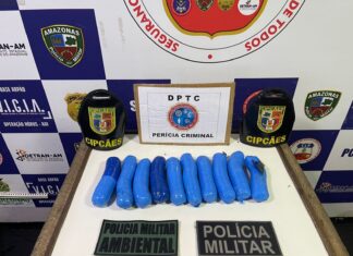 Base Arpão: Com auxílio de cães farejadores, agentes da SSP-AM apreendem porções de maconha em embarcação