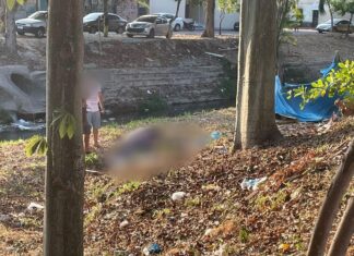 Manaus: Corpo de homem é encontrado próximo ao igarapé do Passarinho