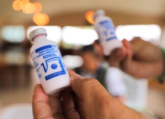 Febre aftosa: Adaf alerta produtores para o fim do prazo de notificação da vacinação
