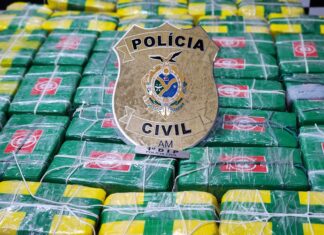 PC-AM apreende cocaína avaliada em mais de R$ 800 mil e prende transportador do material