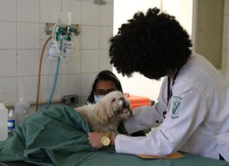 Nilton Lins e Ifam lançam 1º curso de Mestrado em Ciências Veterinárias do AM