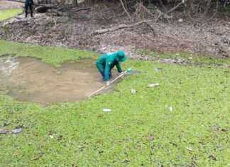 Malária: Amazonas apresenta redução de 5,6% dos casos