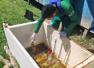 Chikungunya: Amazonas apresenta estabilidade nos casos notificados