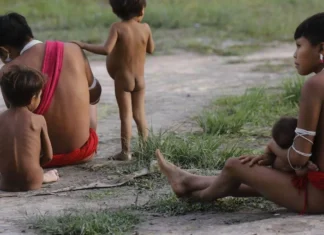 Barroso determina que governo Lula informe medidas de proteção dos Yanomami