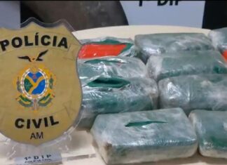 PC-AM apreende caminhão com 15 quilos de maconha do tipo skunk que seriam transportados para o estado do Pará