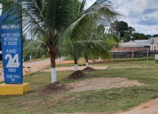 Em Pauini, Polícias Civil e Militar prendem homem por tentativa de feminicídio contra sua ex-companheira