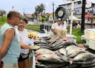 Fim de Semana: Governo do Estado realiza Feiras de Produtos Regionais da ADS na região urbana e rural de Manaus