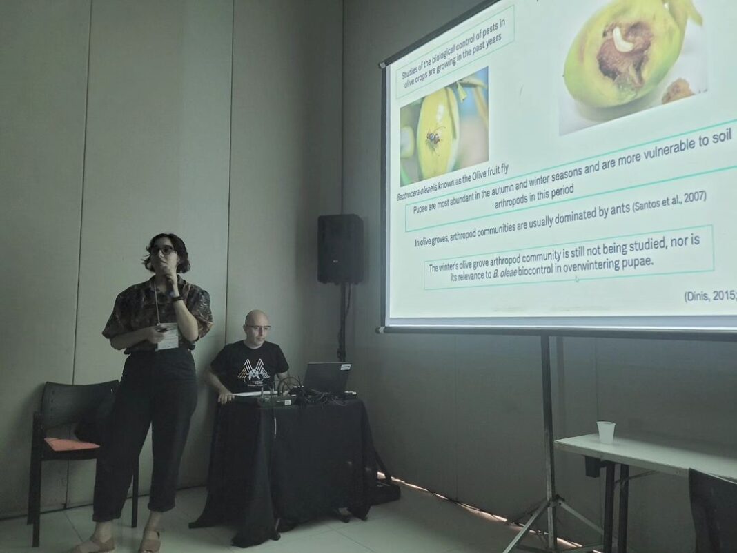 Foto: Divulgação / XXVI Simpósio de Mirmecologia