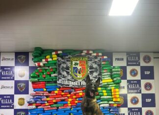 Homem é preso e 255 quilos de droga são apreendidos durante fiscalização a ferry boat na Base Fluvial Arpão em Coari