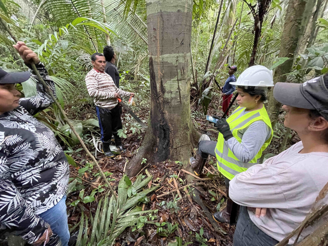 IGT - Curso de Boas Práticas de Manejo da Copaíba - Tapauá - Nov-2022 9 (1)