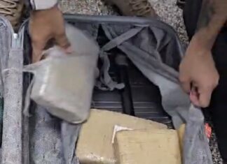 Polícia Civil apreende droga avaliada em R$ 150 mil proveniente de São Gabriel da Cachoeira