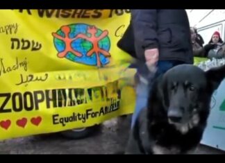 Manooo: Descriminalização do sexo com animais’: Marchas do Orgulho da Zoofilia exigem que o movimento LGBTQI + adicione um Z