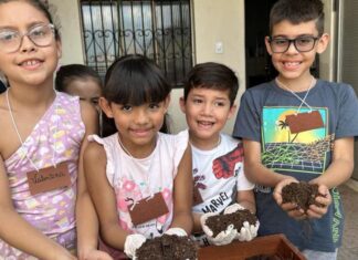 Crianças do São Raimundo em Manaus, aprendem a cultivar mudas no Instituto INOVAM
