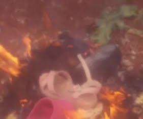 Homem suspeito dos crimes de violência doméstica e maus-tratos é preso , veja o VÍDEO