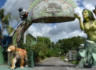 Parque Estadual Sumaúma oferece programação gratuita neste sábado