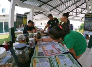 Com apoio do Governo do Estado, estudo sensibiliza população para os impactos das mudanças na biodiversidade amazônica