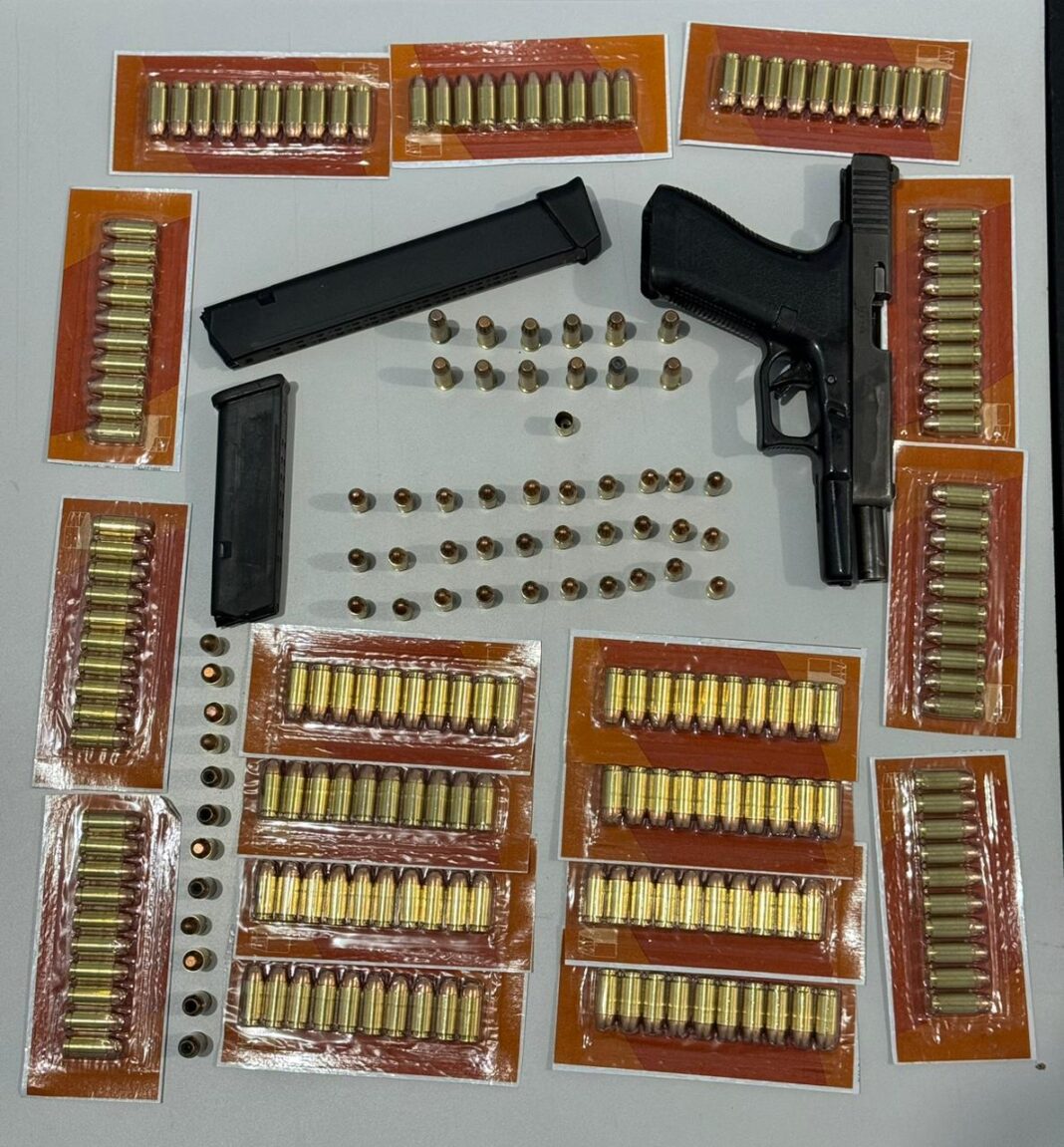 IMAGEM DE APOIO_ DIVULGAÇÃO PC-AM