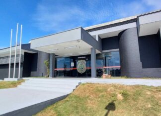 PC-AM e Polícia Civil do Pará prendem mulher suspeita de armar emboscada contra homem que teve corpo desmembrado