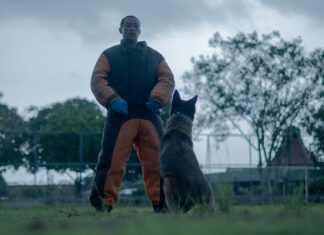 Polícia Militar do Amazonas desenvolve treinamento de cães policiais para ações do Sistema de Segurança