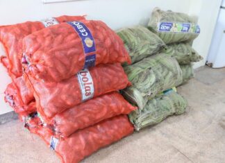 Governo do Amazonas realiza compra de produtos da agricultura familiar em Presidente Figueiredo